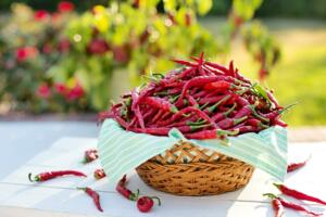 cayenne peppers, chili peppers, red peppers