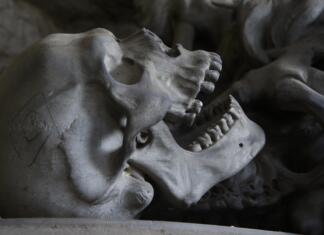 Otroški zob star 130 000 let razkriva skrivnosti izumrlih človeških sorodnikov Človeška lobanja