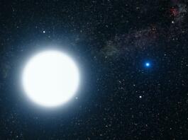 star, sun, white dwarf