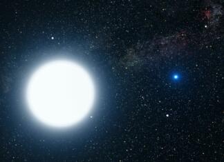 Astronomi svetujejo: iščimo življenje v binarnih zvezdnih sistemih star, sun, white dwarf