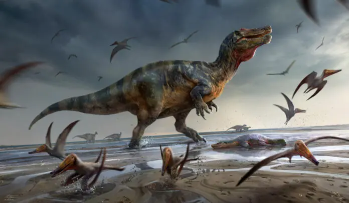 Največji mesojedi dinozaver v Evropi je bil najden na otoku Wight Največji mesojedi dinozaver v Evropi je bil najden na otoku Wight