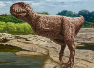 Bizaren mesojedi dinozaver najden sredi Egipta Paleontologi našli bizarnega abelizavrida v Egiptu