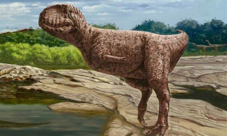 Bizaren mesojedi dinozaver najden sredi Egipta