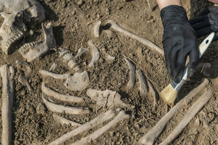 Archaeological excavations, human skeleton remains, found in an ancient tomb.