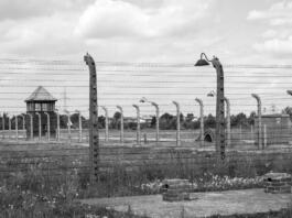 auschwitz, birkenau, the holocaust