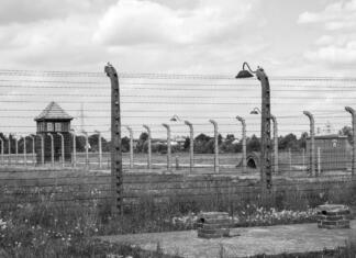 Poznaš opero iz koncentracijskega taborišča? auschwitz, birkenau, the holocaust