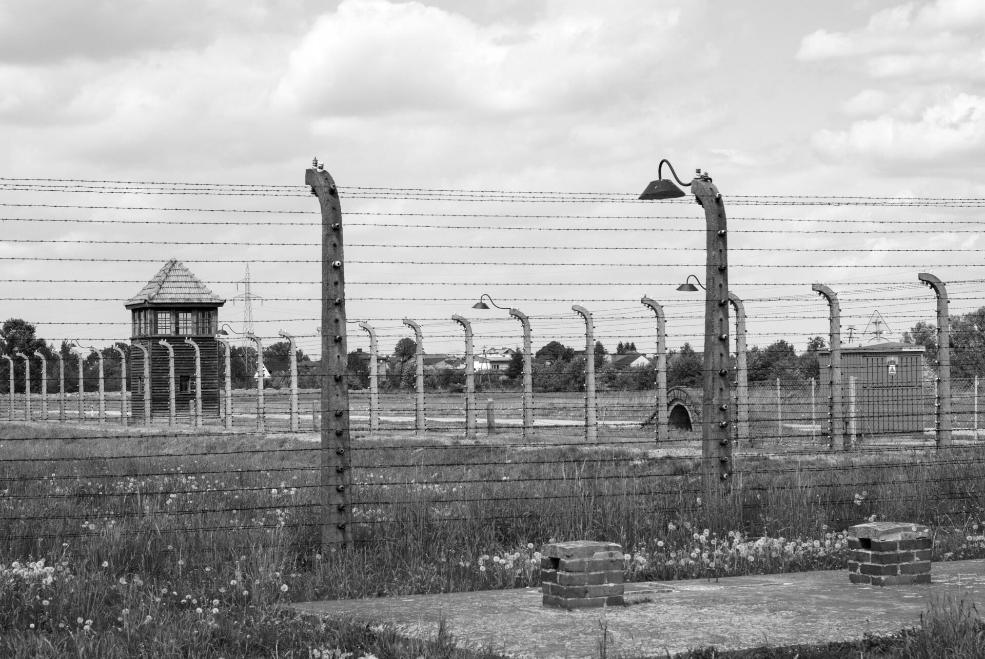 auschwitz, birkenau, the holocaust