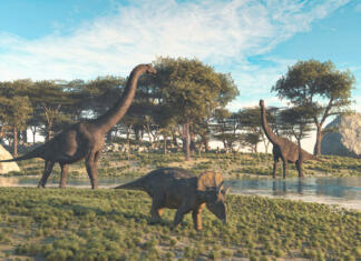 Dinozavrski metabolizem ima v sebi veliko skrivnosti Metabolizem dinozavrov lahko skriva kar nekaj skrivnosti, ki bi nam lahko pomagale pri ohranjanju vrst skozi podnebne spremembe