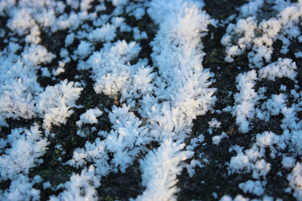 Beli ledeni kristalčki na zemlji