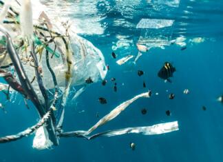 Razkrita robo-riba, ki bo odstranjevala mikroplastiko iz oceanov Plastični odpadki plavajo v morju