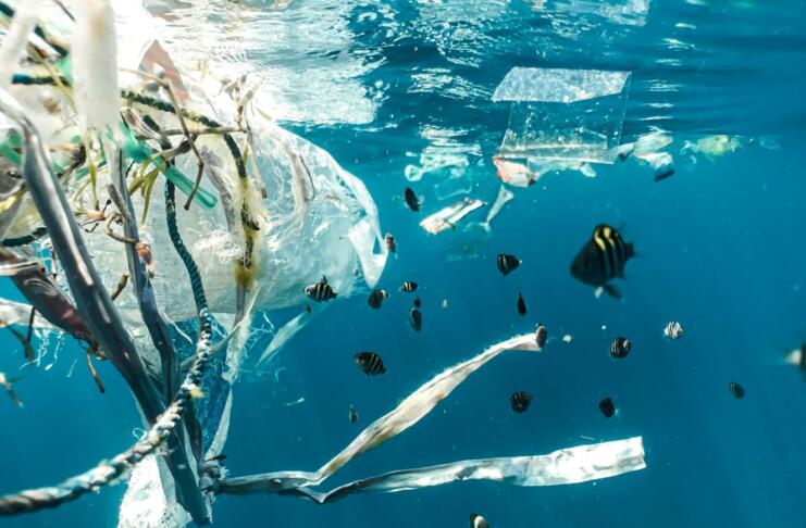 Plastični odpadki plavajo v morju