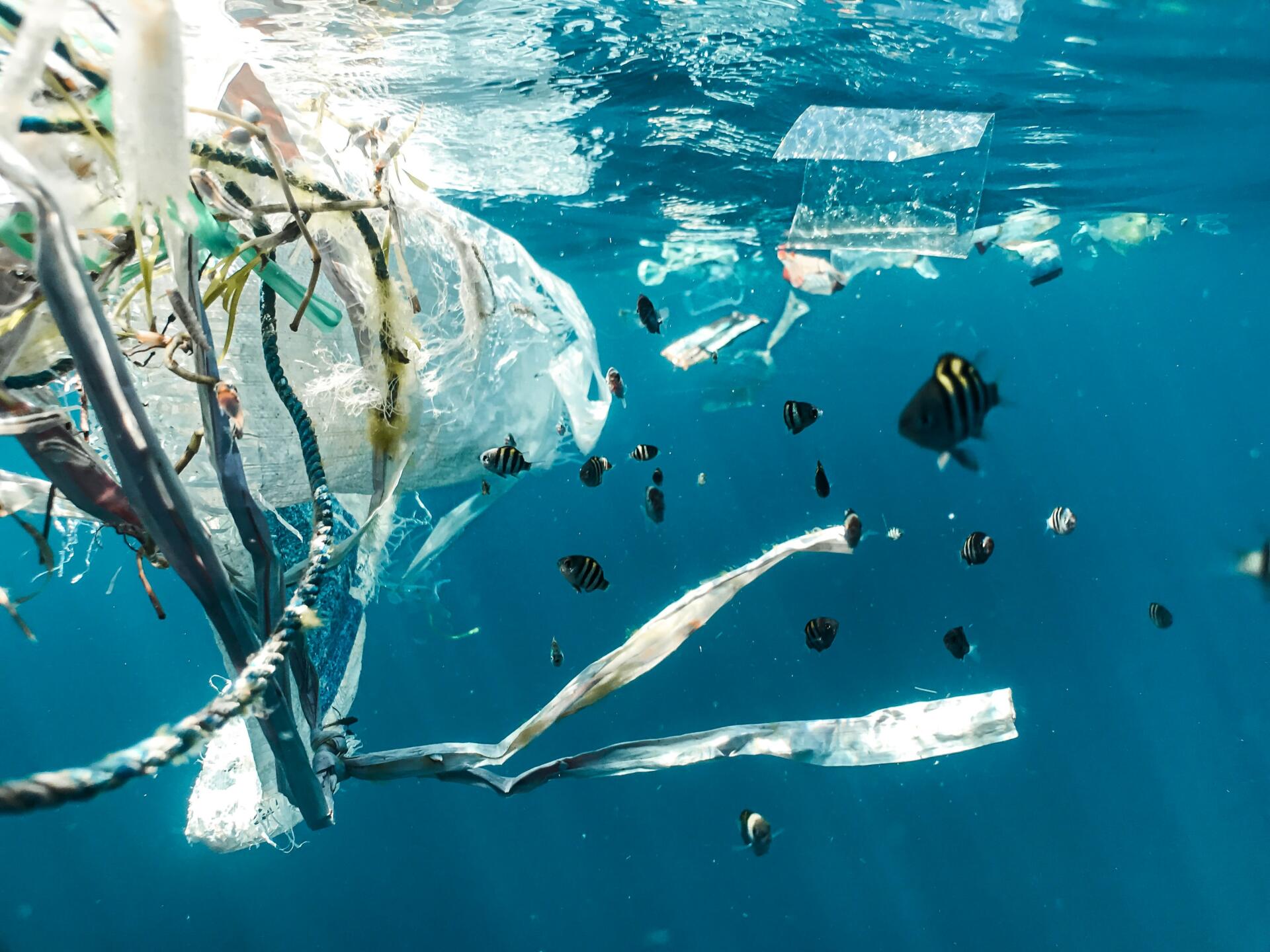 Plastični odpadki plavajo v morju