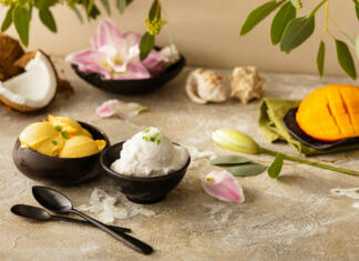 3 prednosti veganskega sladoleda Najboljši sadni sladoledi z najboljšimi sestavinami