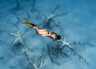 Ciper odprl prvi podvodni arheološki park Podvodni muzej na Cipru