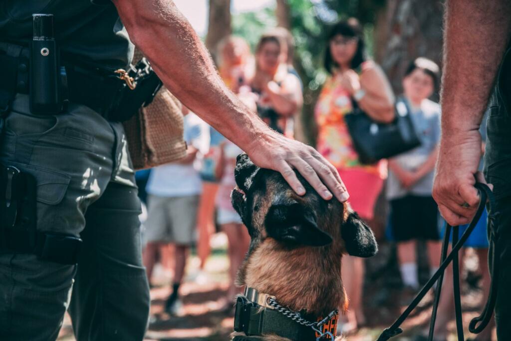 a K9 getting pet by the handler during the demonstration