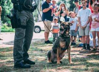 Po novem psi izvajajo testiranje za covid a K9 standing next to the handler during the demonstration