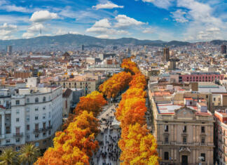 Vesoljski center Barcelona Spain, high angle view city skyline at La Rambla street with autumn foliage season
