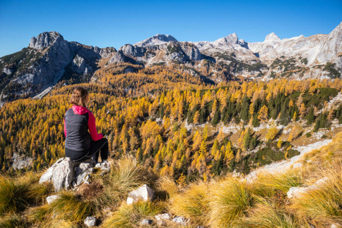 Beautiful golden larches in mountains at fall season.