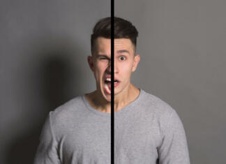 TEORIJA ŠESTIH TIPOV – Dr. Holland Collage of young man portraits with double face expression on gray studio background. Double personality, bipolar disorder concept