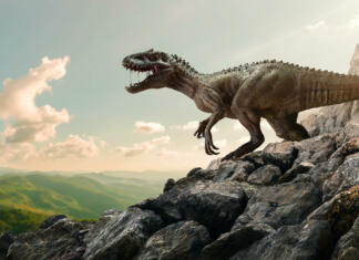Kaj imajo skupnega dinozavri, morski psi, tobogani in dirkalni avtomobilčki? Dinosaur Tyrannosaurus Rex On Top Of Mountain Rock