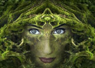 Krivopete – divje žene v Sloveniji Krivopete