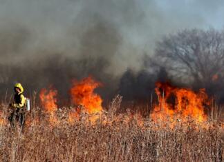 Tako so videti vročinski vali po svetu firefighter, fire, flames