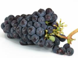 grapes, bunch, fruits