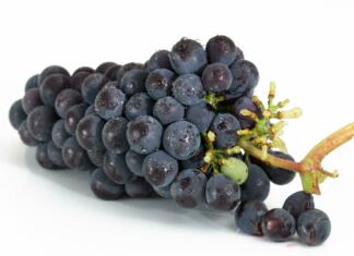 Najboljši recept za sladoled z okusom rdečega grozdja grapes, bunch, fruits