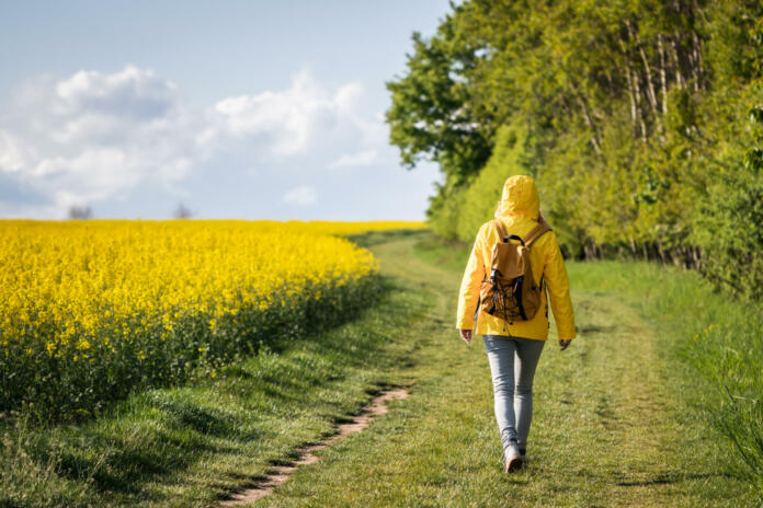 Lone woman walk on path between forest and oilseed field. Spring hike in nature