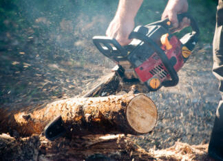 Usposabljanje za delo z motorno žago Man with the chain saw in the forest