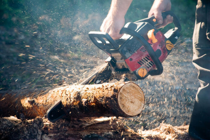 Man with the chain saw in the forest