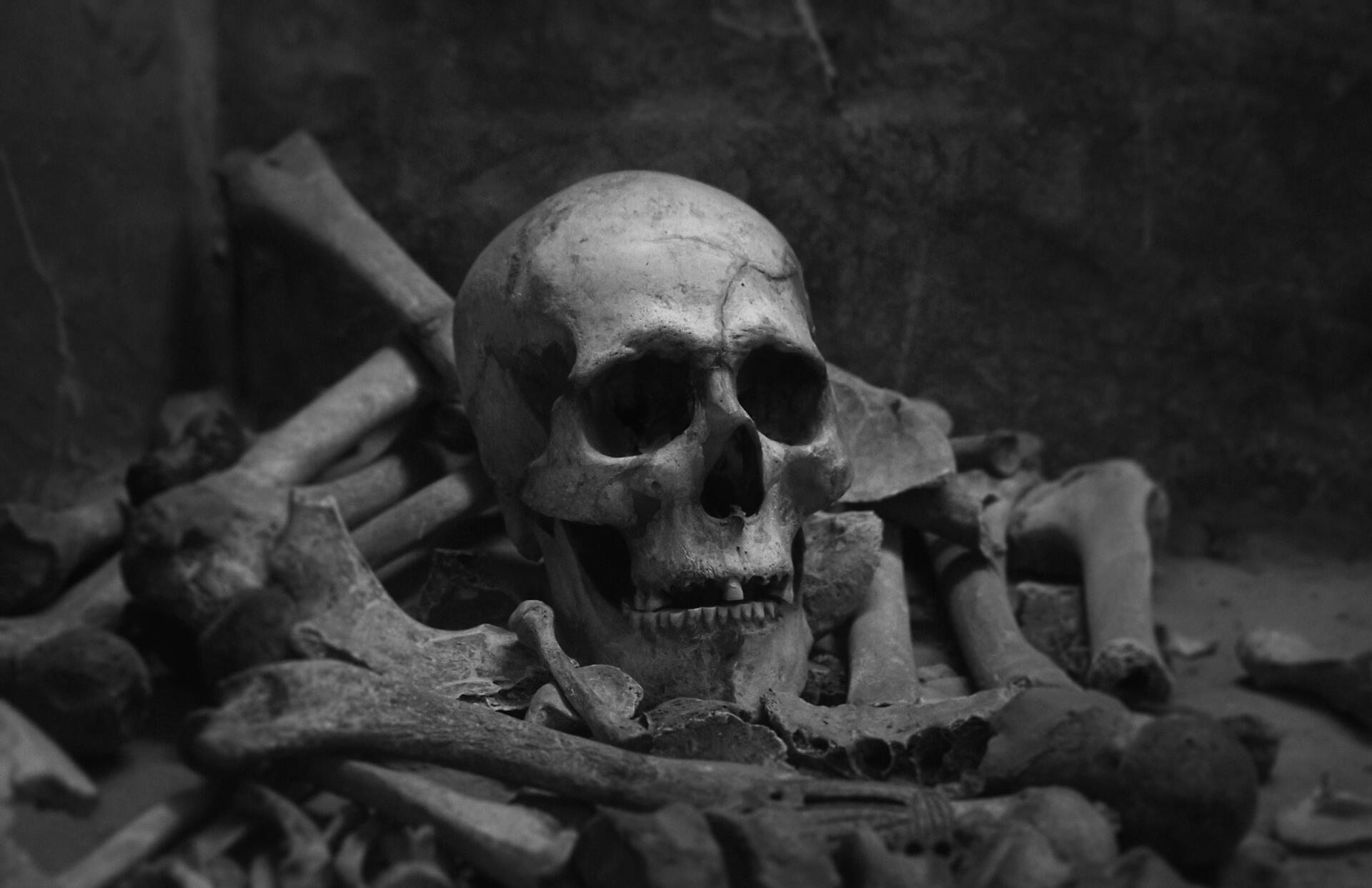 Človeška lobanja in kosti