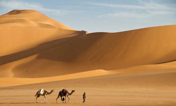 a man with camels in the sand dunes desert of Libya.