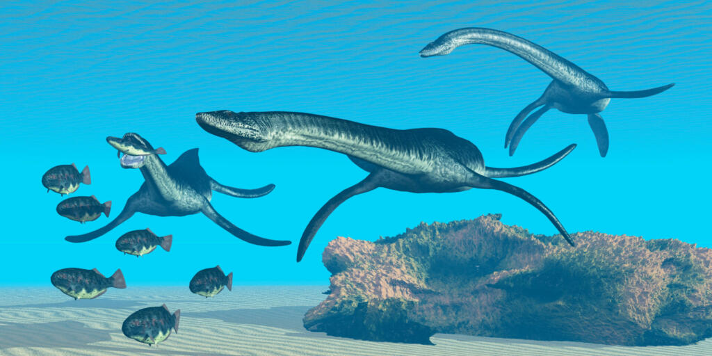 A pack of Plesiosaurus dinosaurs hunt a school of Dapedius fish in prehistoric seas.