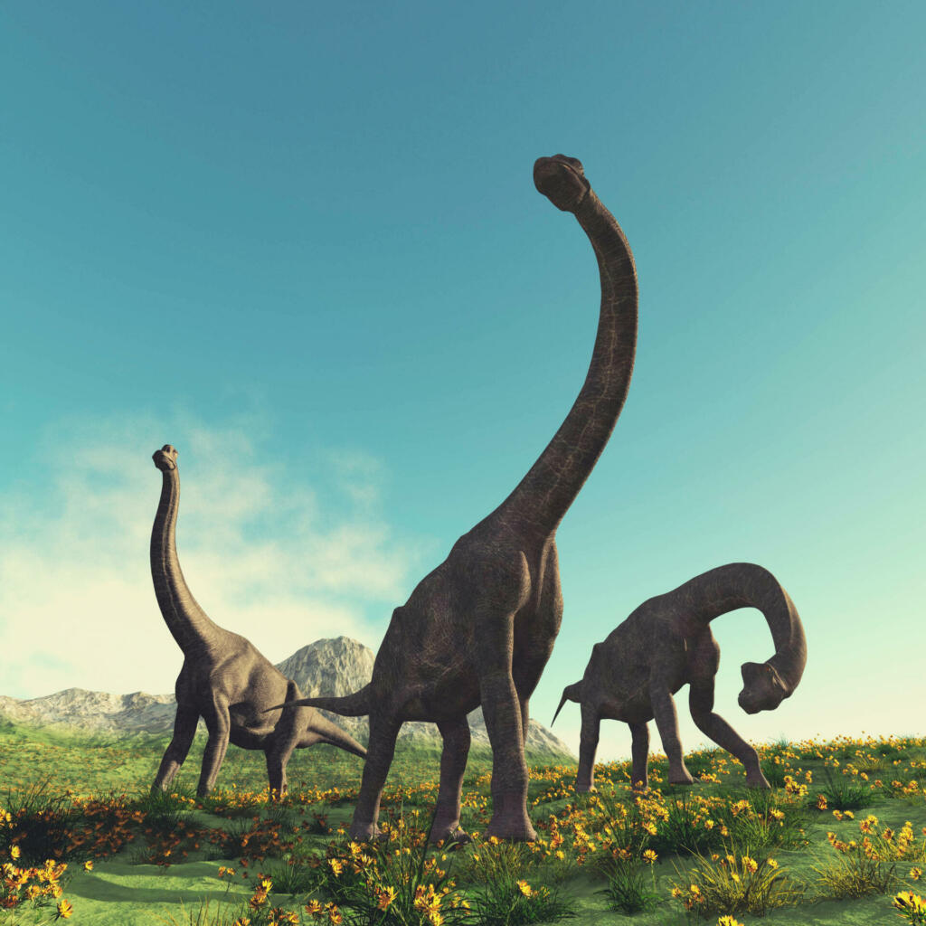 Brachiosaurus in the valley . This is a 3d render illustration .