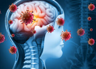 Kdo vse je napovedal izbruh novega koronavirusa? Brain viral infection, Viral meningitis and encephalitis. 3d illustration