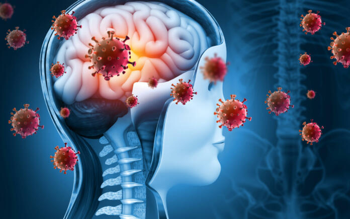 Brain viral infection, Viral meningitis and encephalitis. 3d illustration