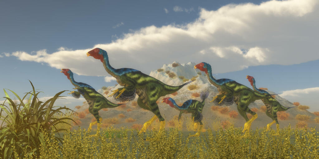 Caudipteryx was a dinosaur reptile bird that lived in China in the Cretaceous Period.