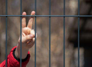 Padec žice na državni meji je simbol nove smeri Child refugee showing peace sign behind a metal fence. Social problem of war migrants.
