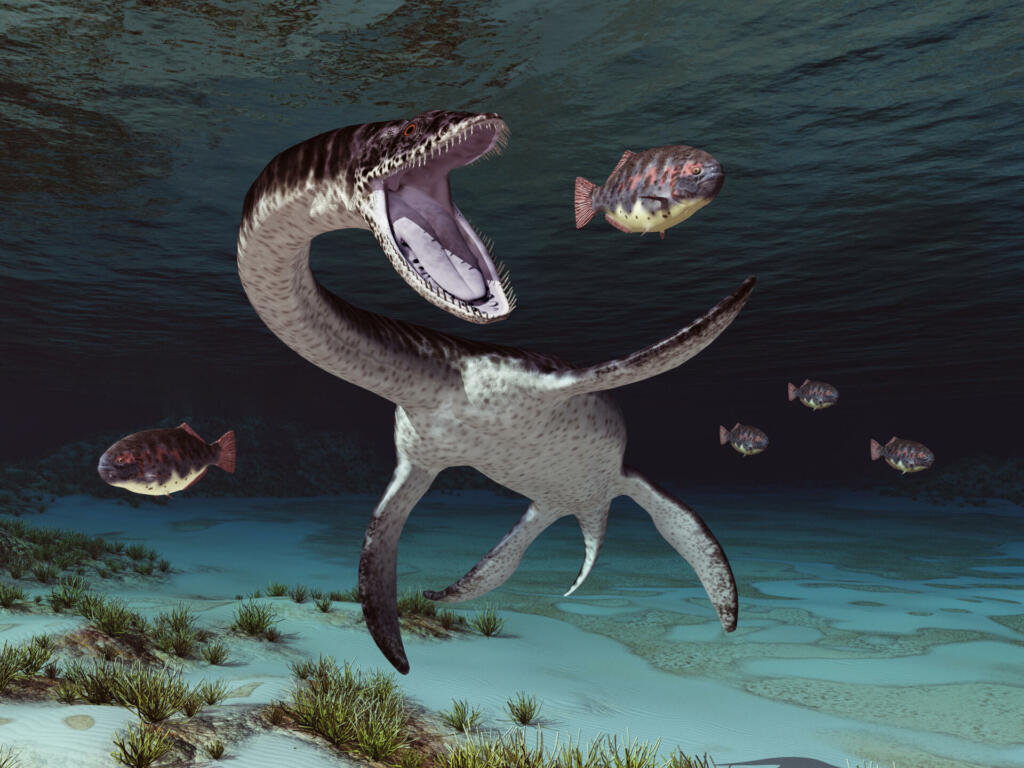 Computer generated 3D illustration with the prehistoric marine reptile Plesiosaurus