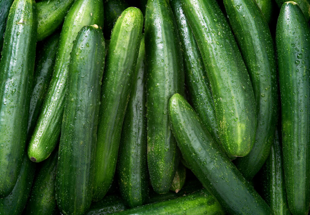 Cucumber Raw fruit and vegetable backgrounds overhead perspective, part of a set collection of healthy organic fresh produce