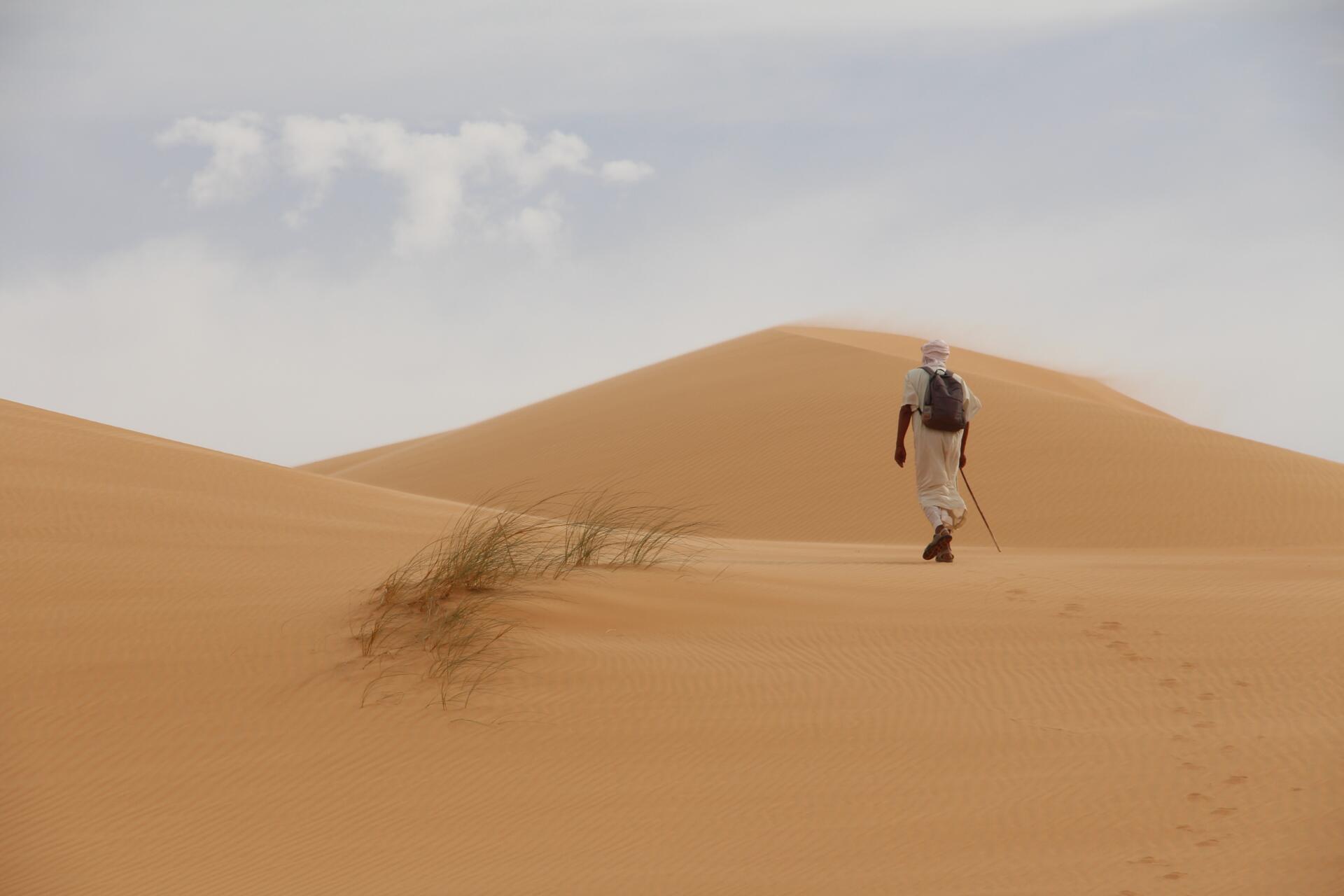 desert, sand, traveler