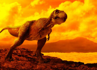 Je bilo perje razlog, da so dinozavri preživeli množično izumrtje? Dinosaur tyrannosaurus rex on top mountain