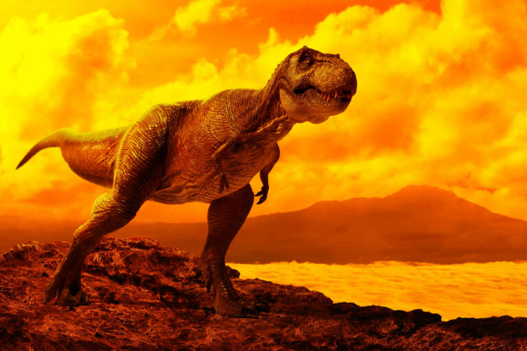 Je bilo perje razlog, da so dinozavri preživeli množično izumrtje?