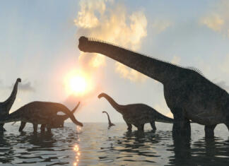 Kako so dinozavri nosili svojo ogromno težo? dinosaurs at sunset render 3d
