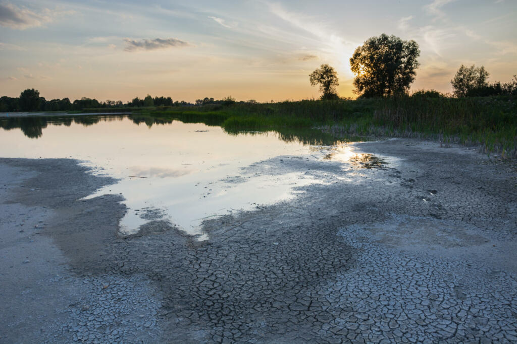 Drying water reservoir. Summer 2019, Staw, Poland.