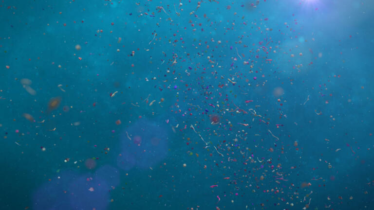 garbage swimming in sea water, contamination problem