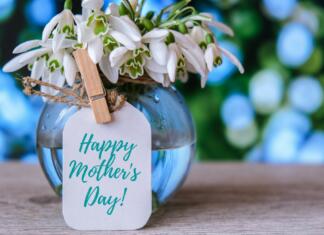 Materinski dan pri nas in po svetu Happy Mothers Day lettering greeting card. Spring flowers snowdrop. Best mom ever. Beautiful tender bouquet of flowers. Holiday concept. Creative modern