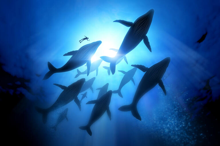 Ohlajanje oceanov je ustvarilo večje živali
