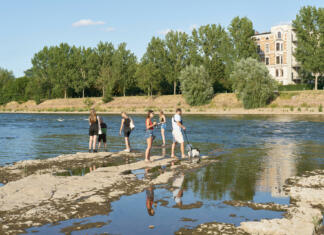 Magdeburg, Germany – July 23, 2022: dried up riverbed of river Elbe near Magdeburg in Germany during big drought with some walkers
